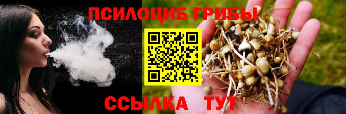 Галлюциногенные грибы GOLDEN TEACHER  Вход с VPN  Холмск  дарнет шоп  Галлюциногенные грибы ЛСД 